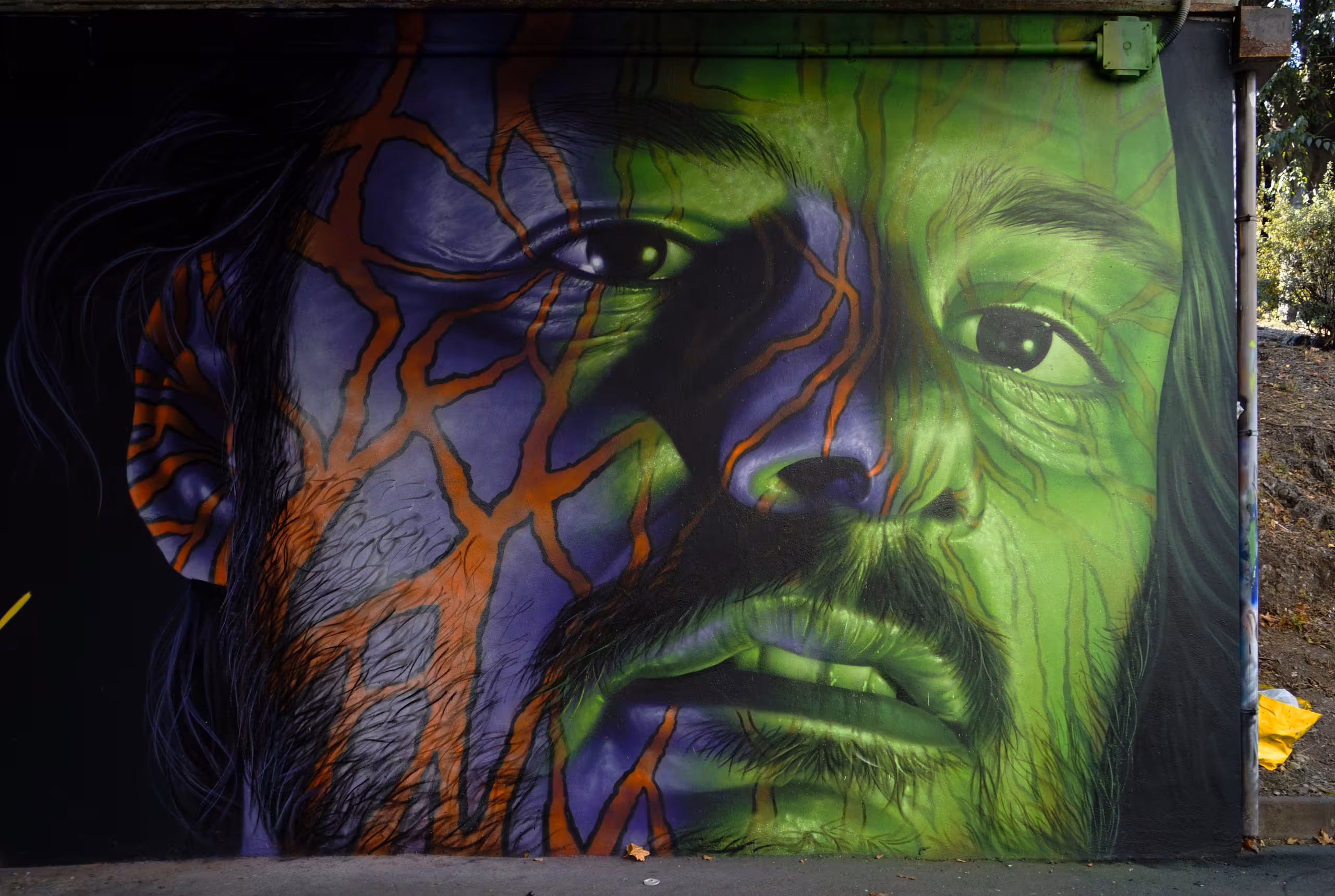 Hyperrealistic close-up portrait graffiti mural by Mr Blob, splitting a male face into a green wood-textured side and a purple side with organic orange root patterns.