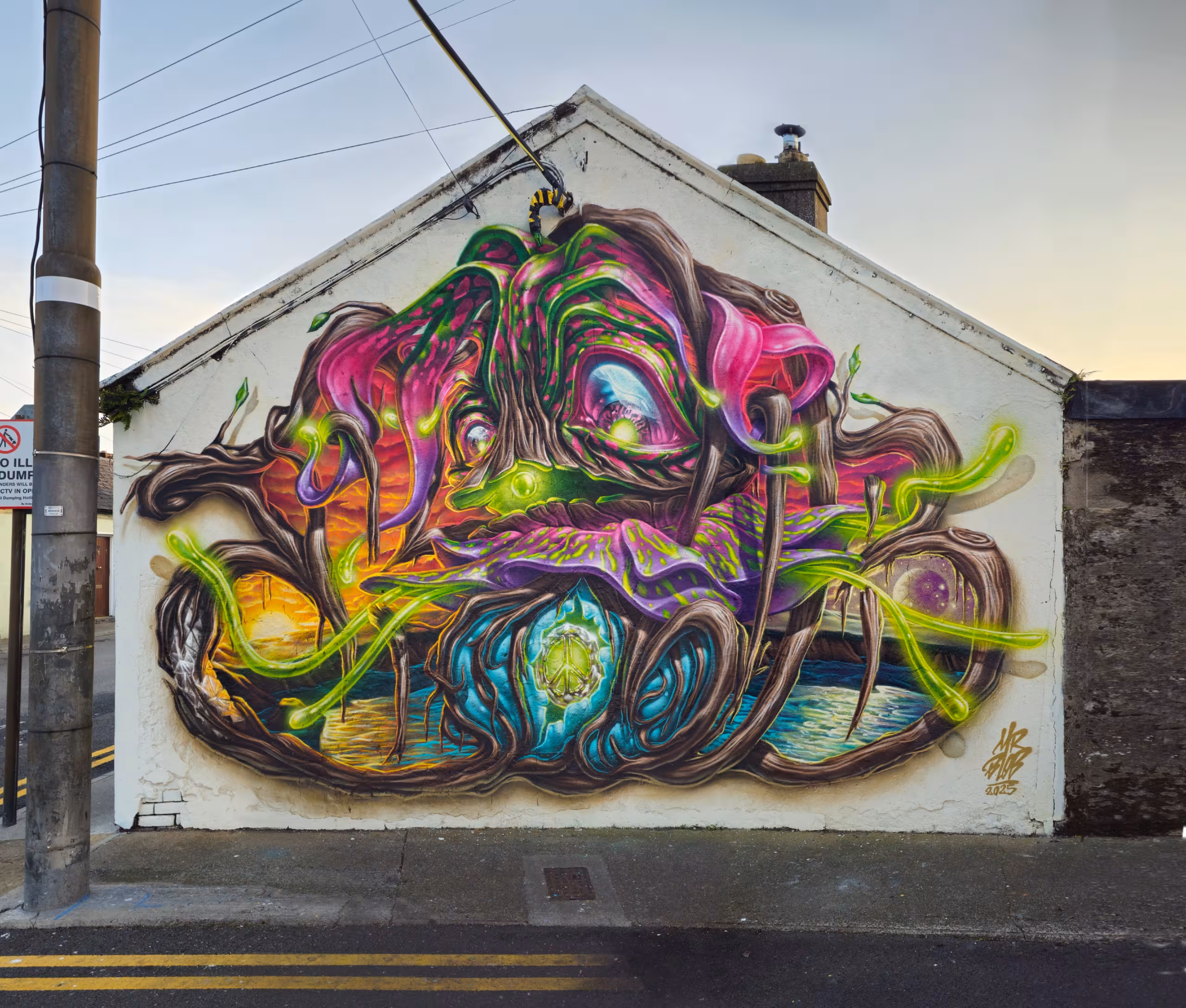 Psychedelic and surreal street art mural painted by Italian artist Mr Blob, featuring vibrant neon colors and bio-organic graffiti textures.